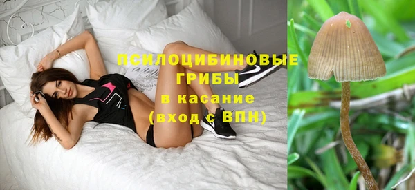 гашишное масло Медногорск