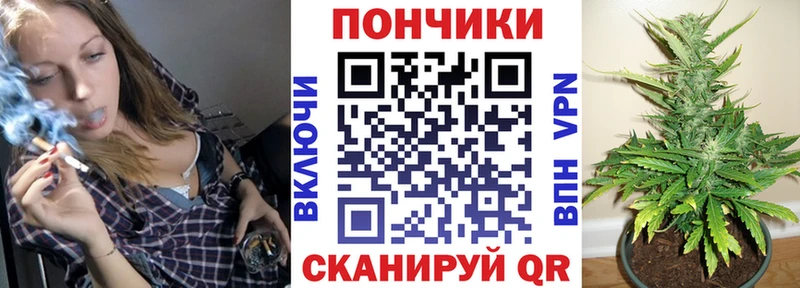 Бошки марихуана конопля  Вологда 